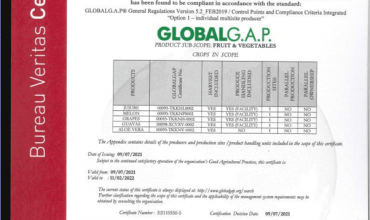 Chứng nhận Global GAP 4